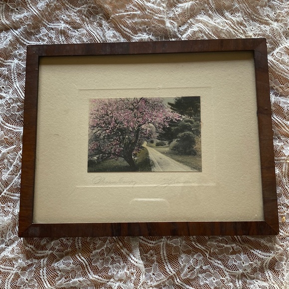 David Davidson Other - Vintage David Davidson signed “Blossom Canopy”framed & matted hand colored photo